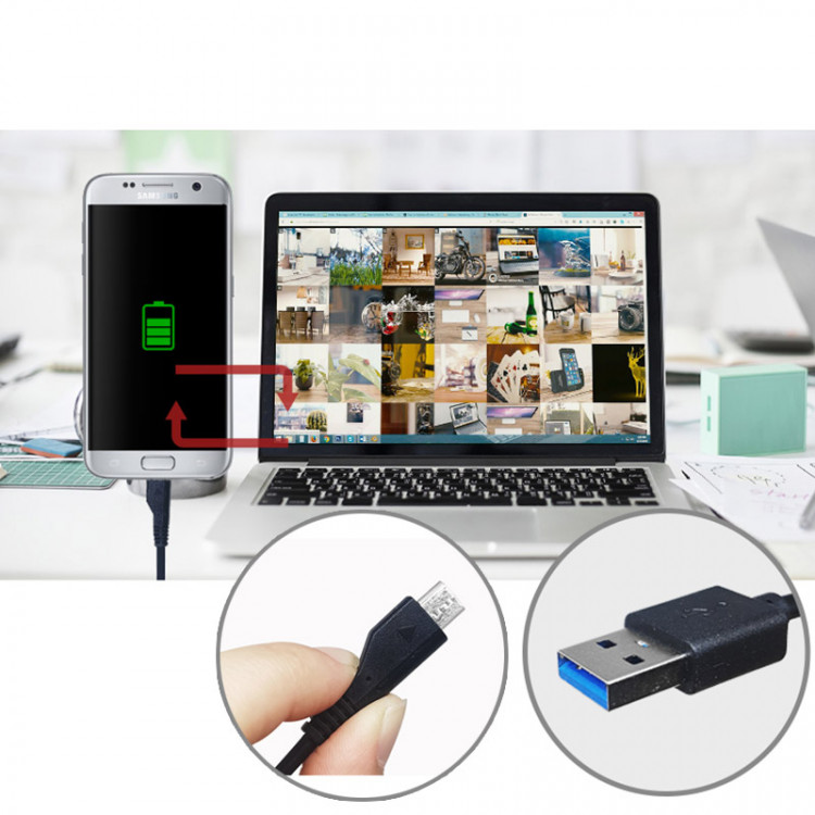 add_8805341 000755_20191203_515469.jpg